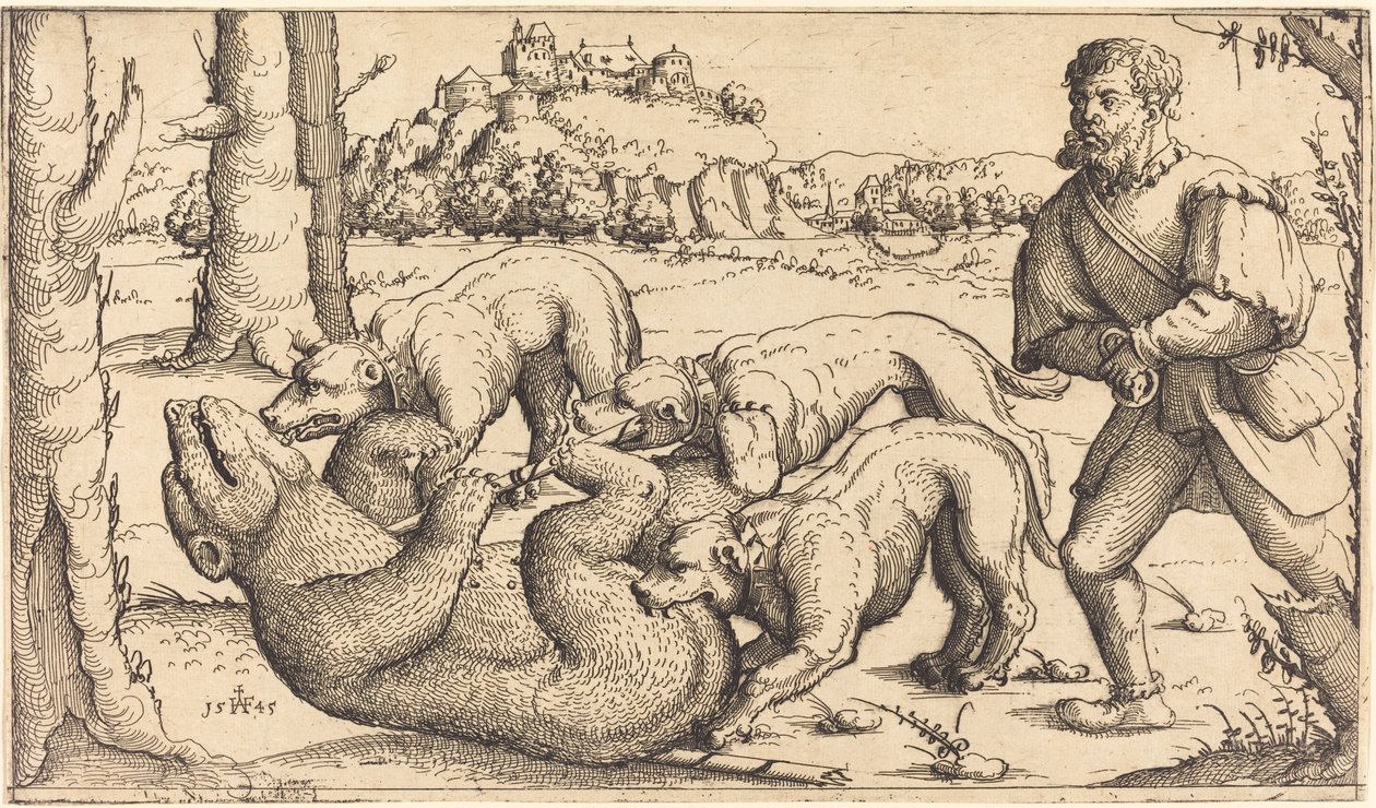 Bjørnejagt af Augustin Hirschvogel