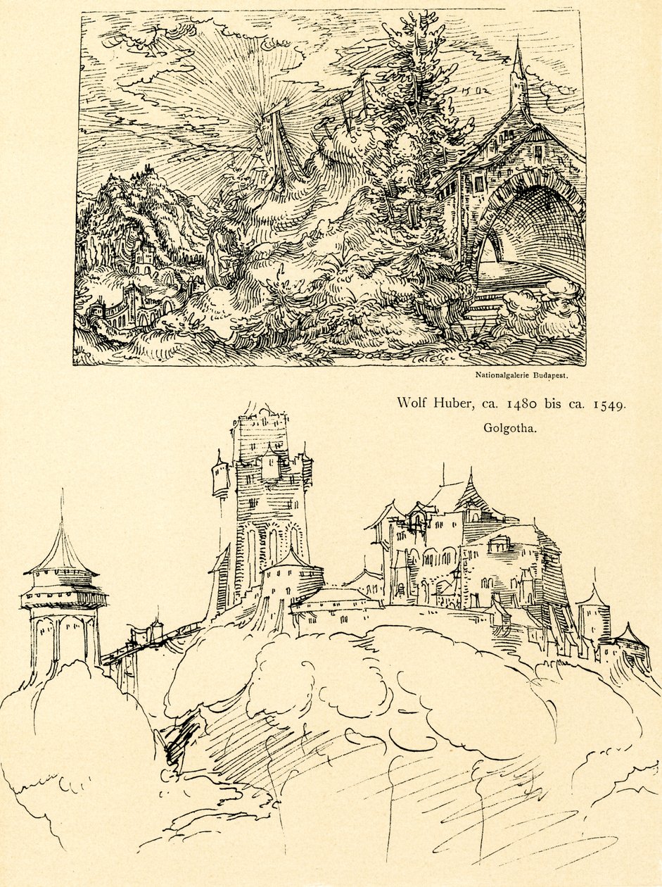 Naturstudie af Augustin Hirschvogel