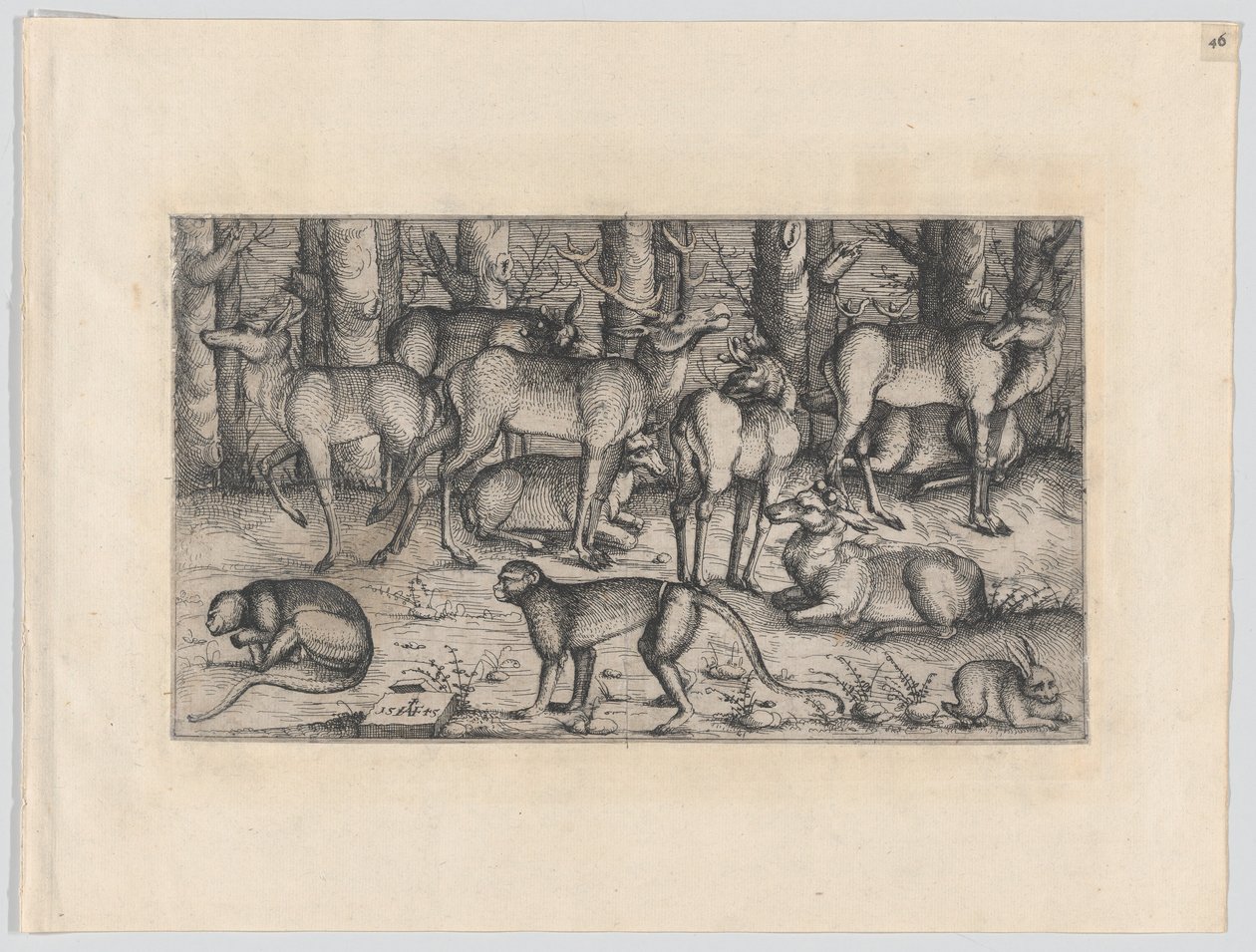 Hjorte i skoven, 1545. af Augustin Hirschvogel