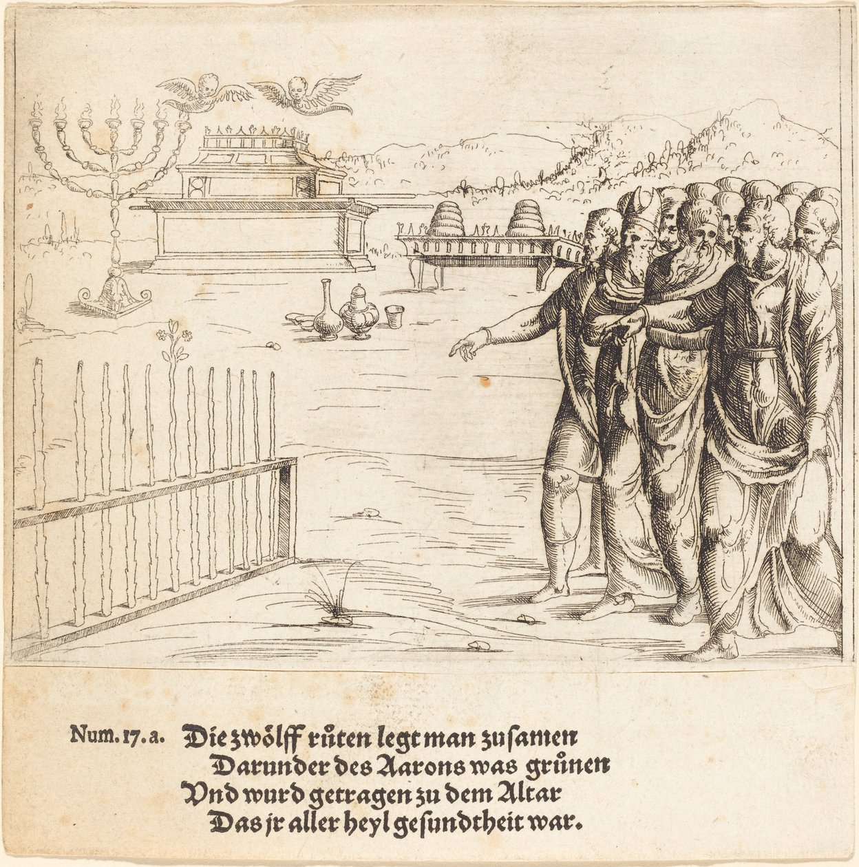 Opblomstringen af Aarons Stang. af Augustin Hirschvogel