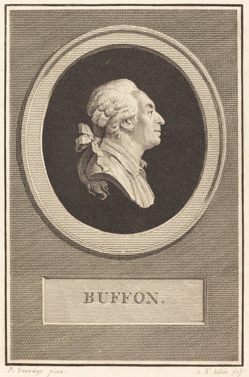 Buffon af Augustin de Saint Aubin after Piat Joseph Sauvage