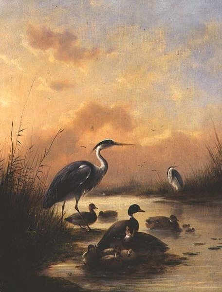 En familie af gråand og to hejrer (par 77887) af Augustus Knip