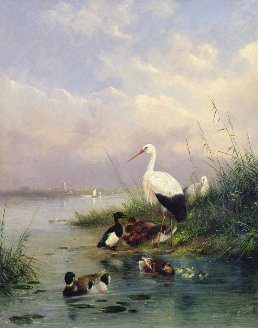 En familie bestående af gråænder, to storke og en familie af tufteænder (par 77886) af Augustus Knip