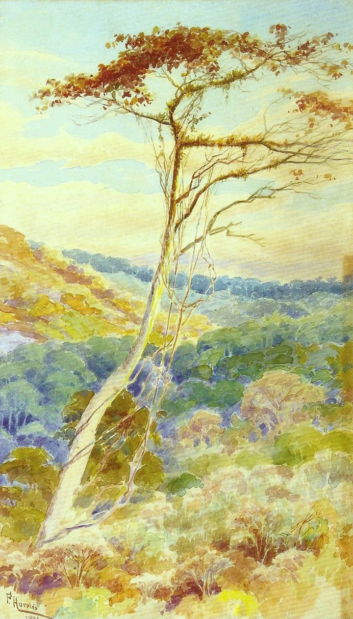 Landskab af Aurelio de Figueiredo