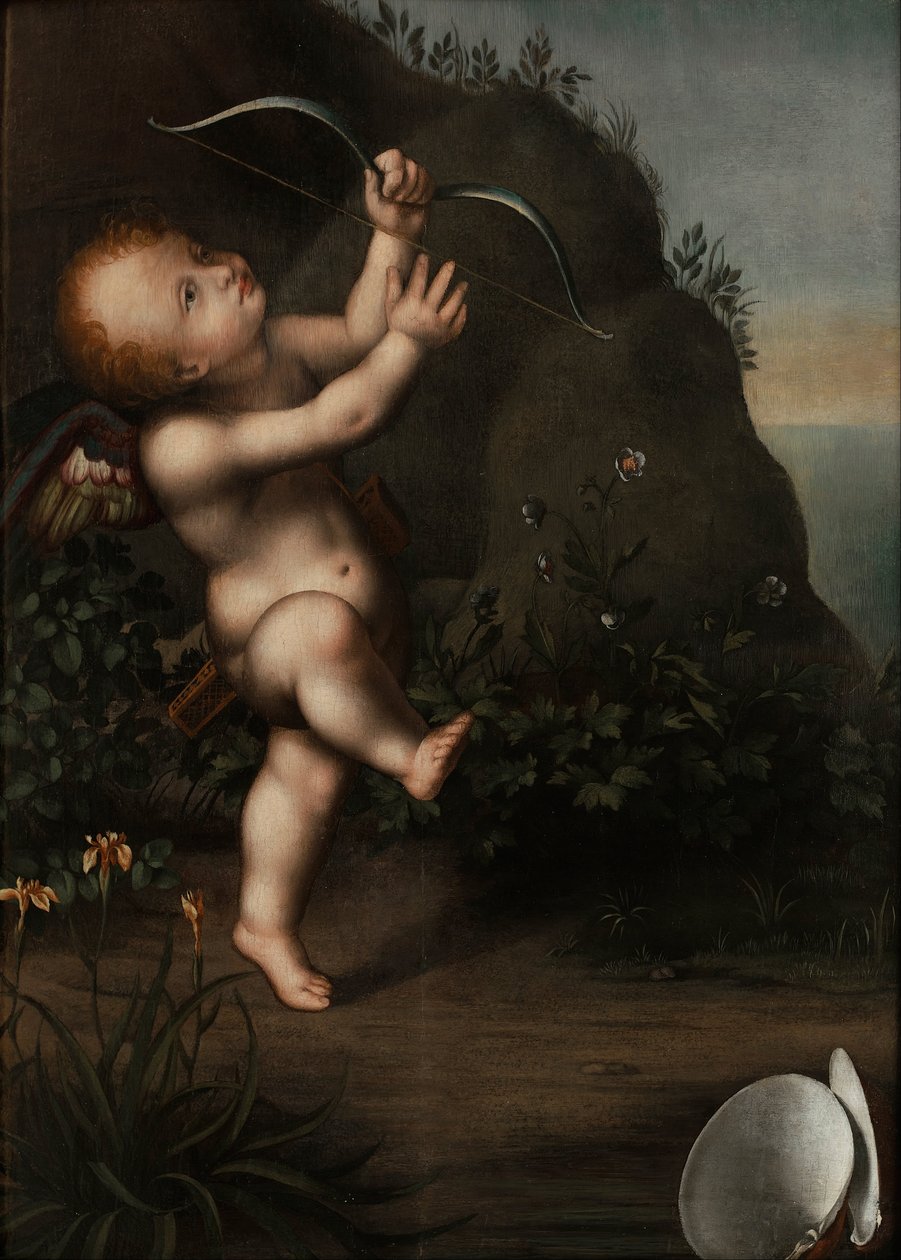 Amor med sløjfe af Aurelio Luini