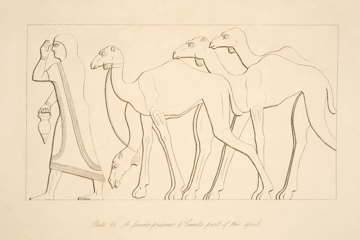 En kvindelig fange og kamel, illustration fra Monuments of Nineveh, 1849 af Austen Henry Layard