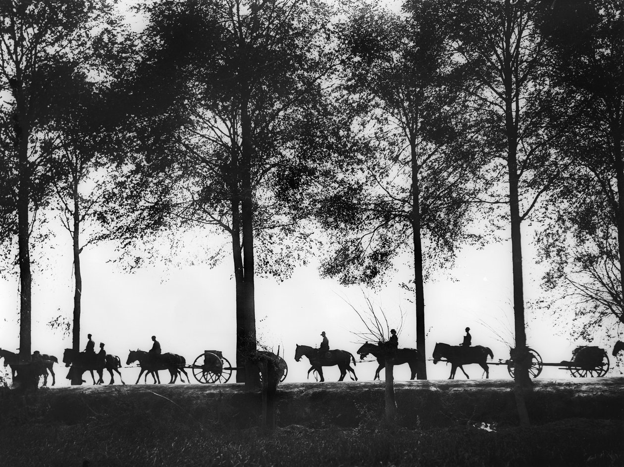 En visning, i silhuet, af australske artilleri-lemmer lastet med ammunition, der fortsætter langs Ypres Road, 25. september 1917 af Australian Photographer