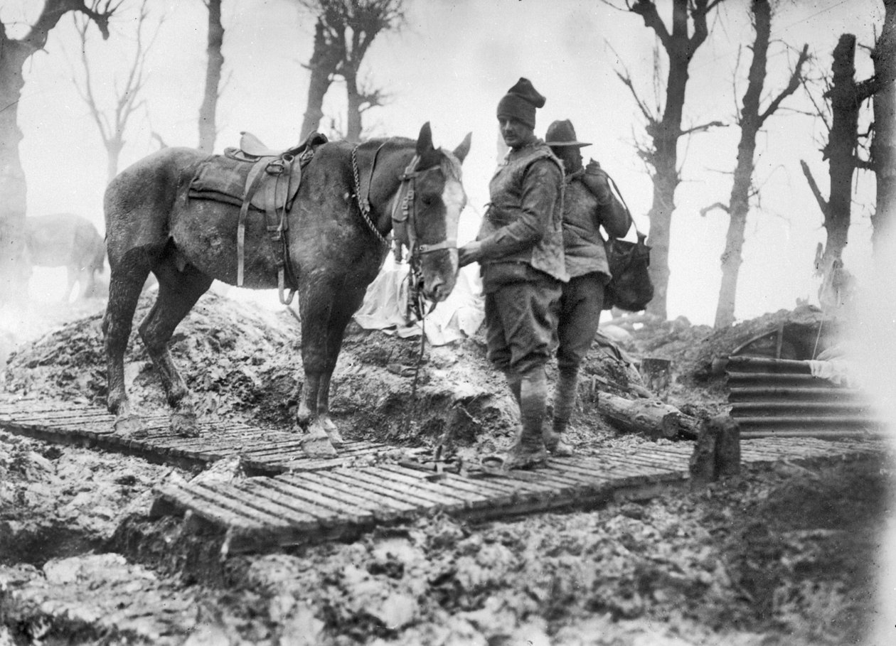 En artillerihest brugt til at transportere ammunition til kanonerne og dens uidentificerede australske fører på en duckboard-bane mellem Mametz og Montauban, december 1916 af Australian Photographer