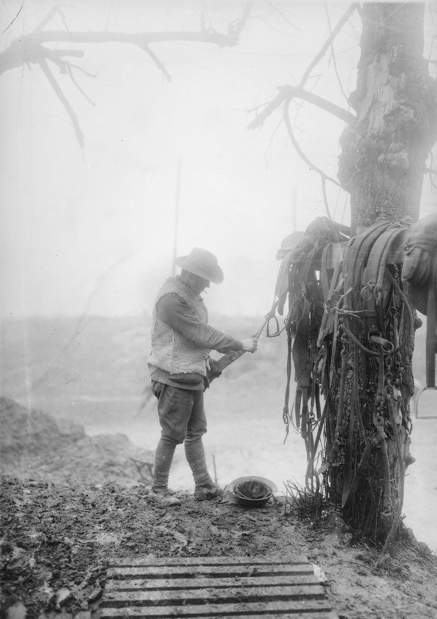 En uidentificeret australsk artillerifører renser mudder fra sit holds seletøj i en billet nær Mametz, december 1916 af Australian Photographer