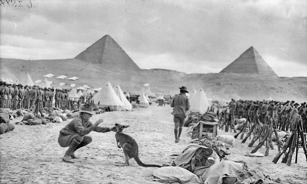 Linier fra den australske 9. og 10. bataljon ved Mena-lejren, vendt mod pyramiderne, december 1914 af Australian Photographer