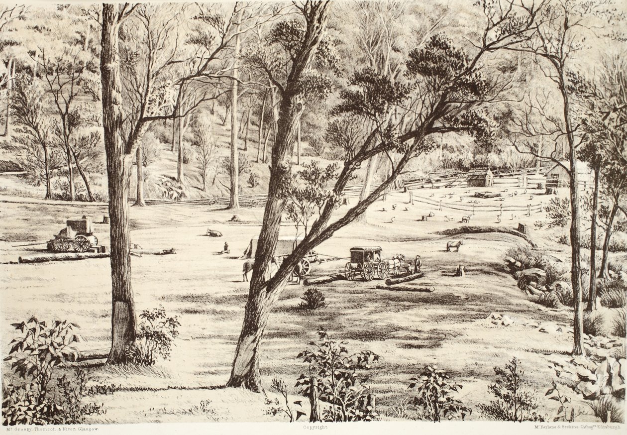 Free Selectors Hut, fra The History of Australasia af David Blair, McGrady, Thomson og Niven, 1879 af Australian School
