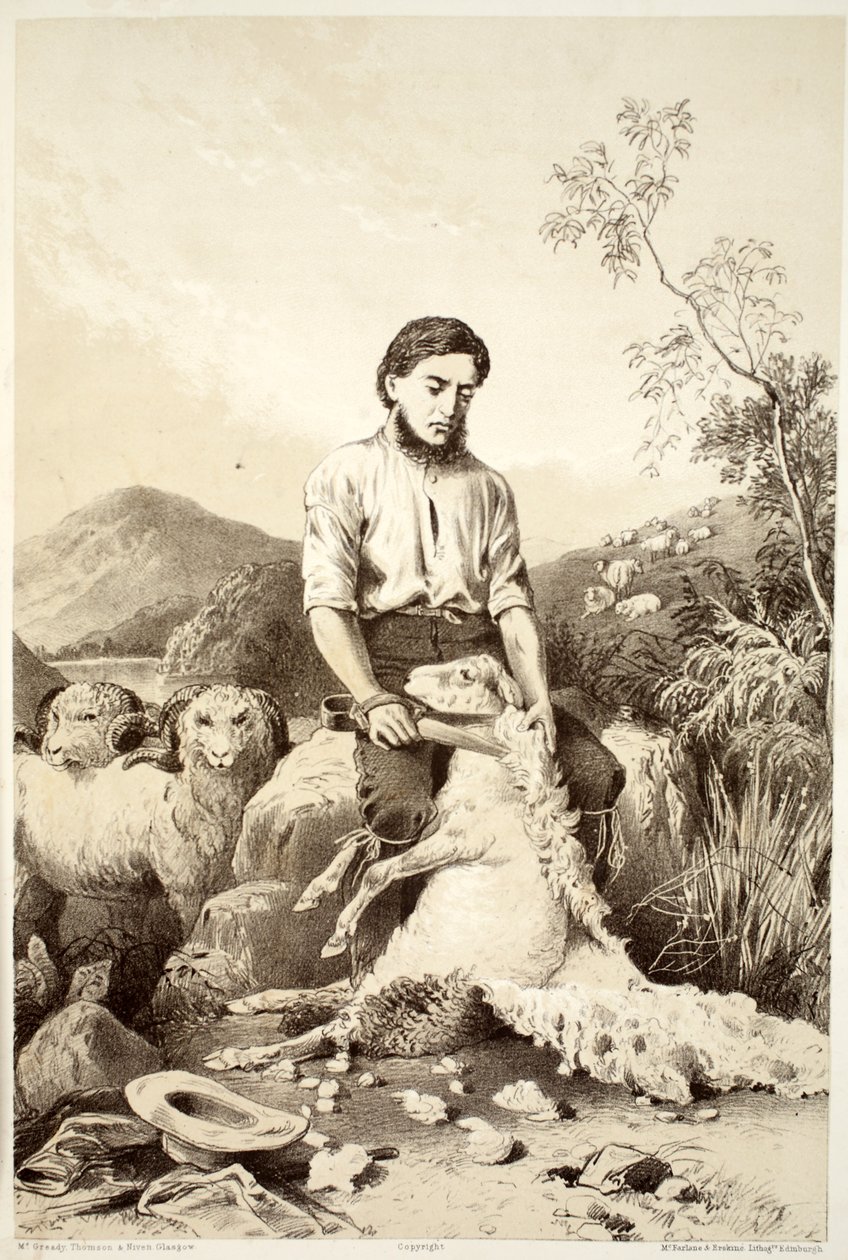 Fåreklipning, fra The History of Australasia af David Blair, McGrady, Thomson og Niven, 1879 af Australian School