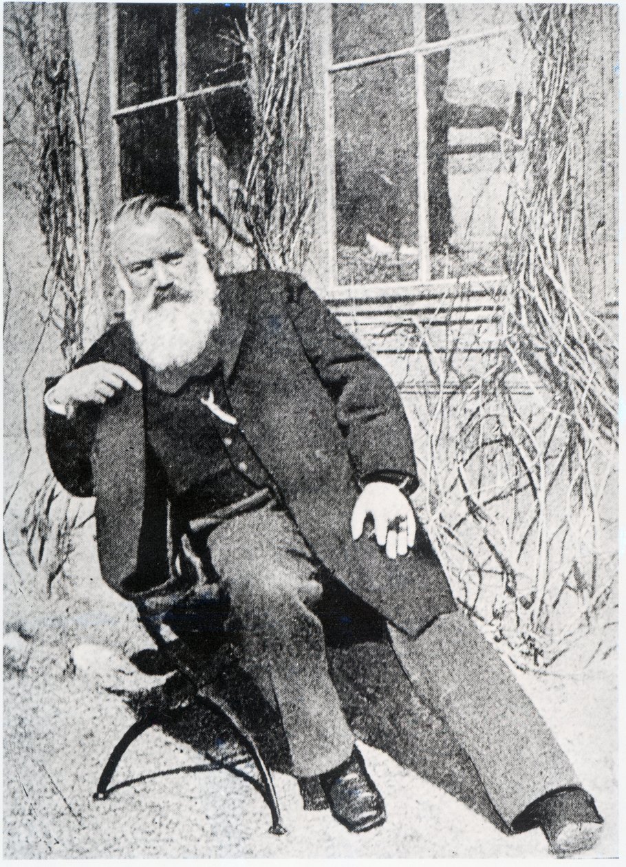 Johannes Brahms, ca. 1897 af Austrian Photographer
