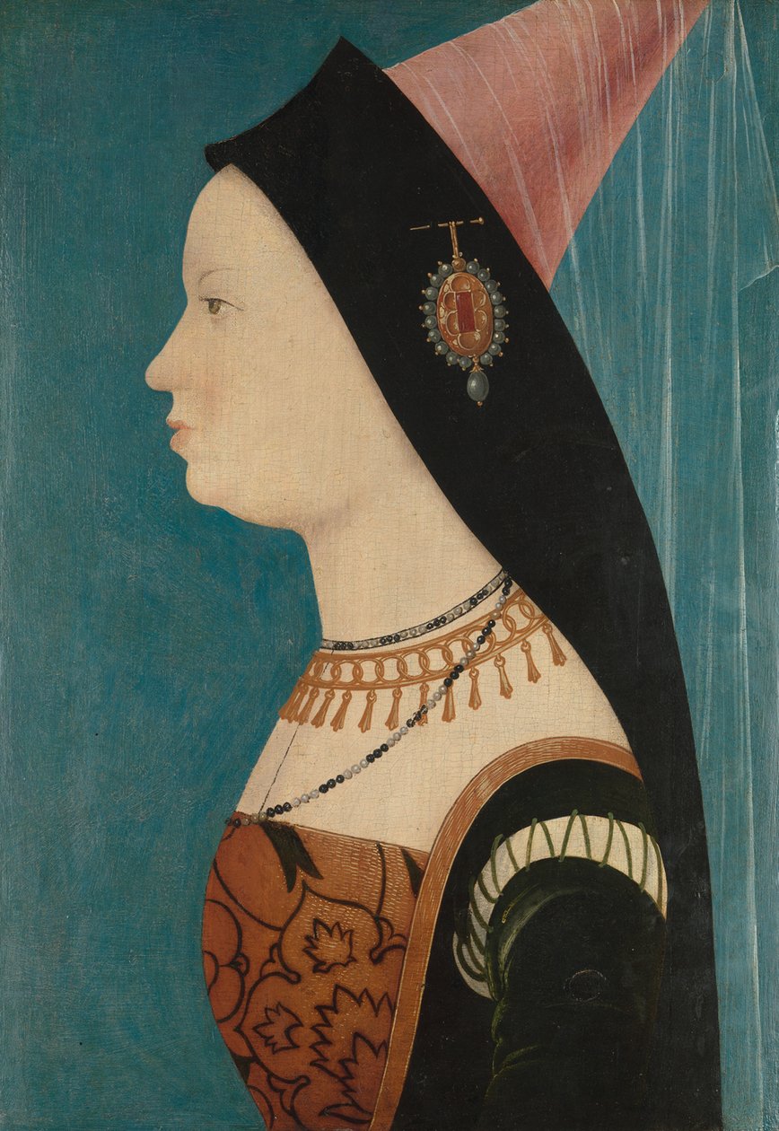 Mary of Bourgogne, 1528 (olie på granpanel) af Austrian School
