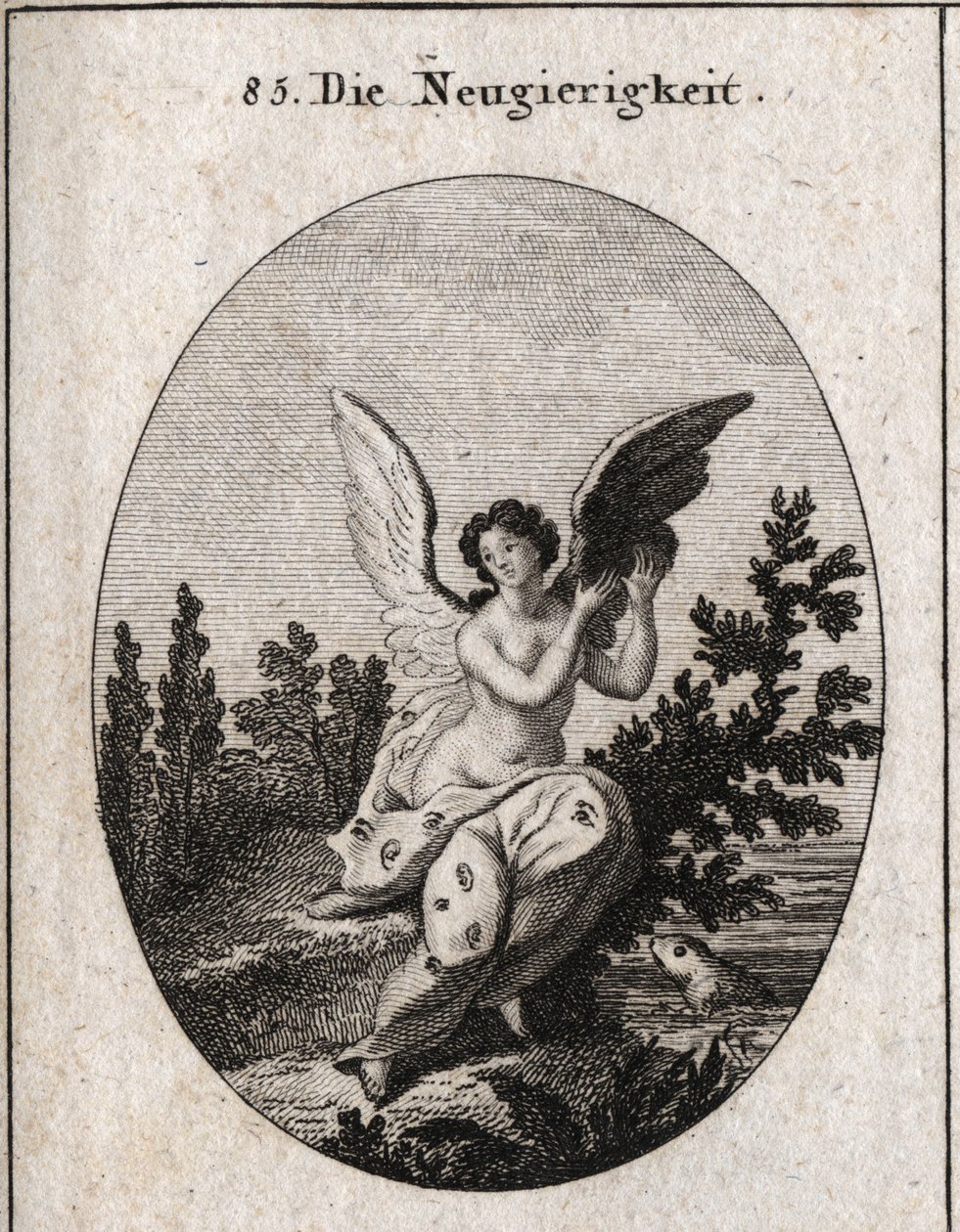 Allegorie de curiosite repræsenteret med et draperi prikket med ører og øjne Vingerne forhøjede Indgravering i "" Ikonologi eller ideer fra området af lidenskaber og allegorier figurativt repræsenteret for tegnere, malere, digtere, lærde, undervisere og af Austrian School