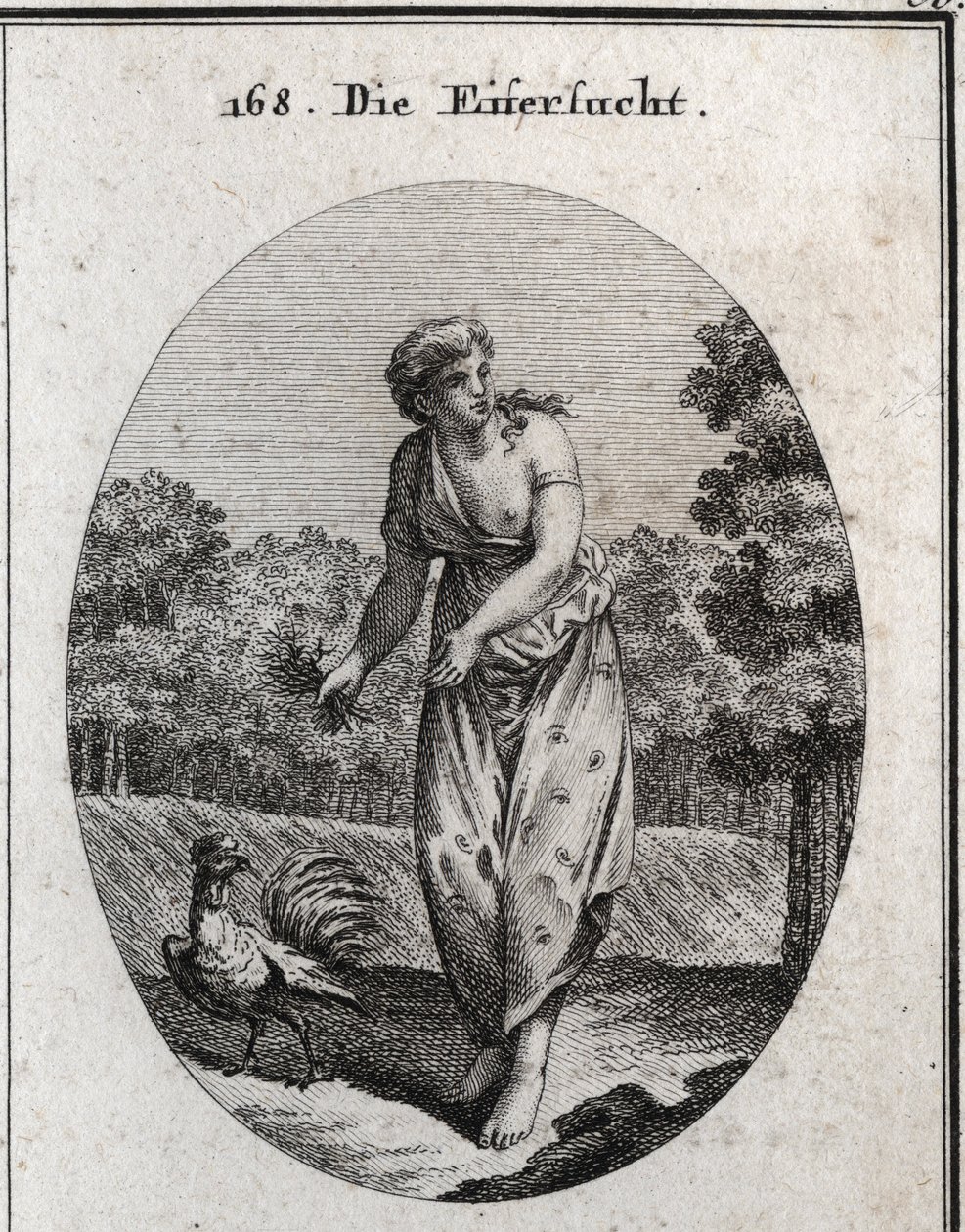 Allegori om jalousi, der strækker øret på den ene side og ser, hvad der sker på den anden. Hendes kjole er oversået med øjne og ører, og den buket af torne, hun holder, at hendes pine er frivillig. Hanen, jaloux og årvågen, er hans symbol. Engravin af Austrian School