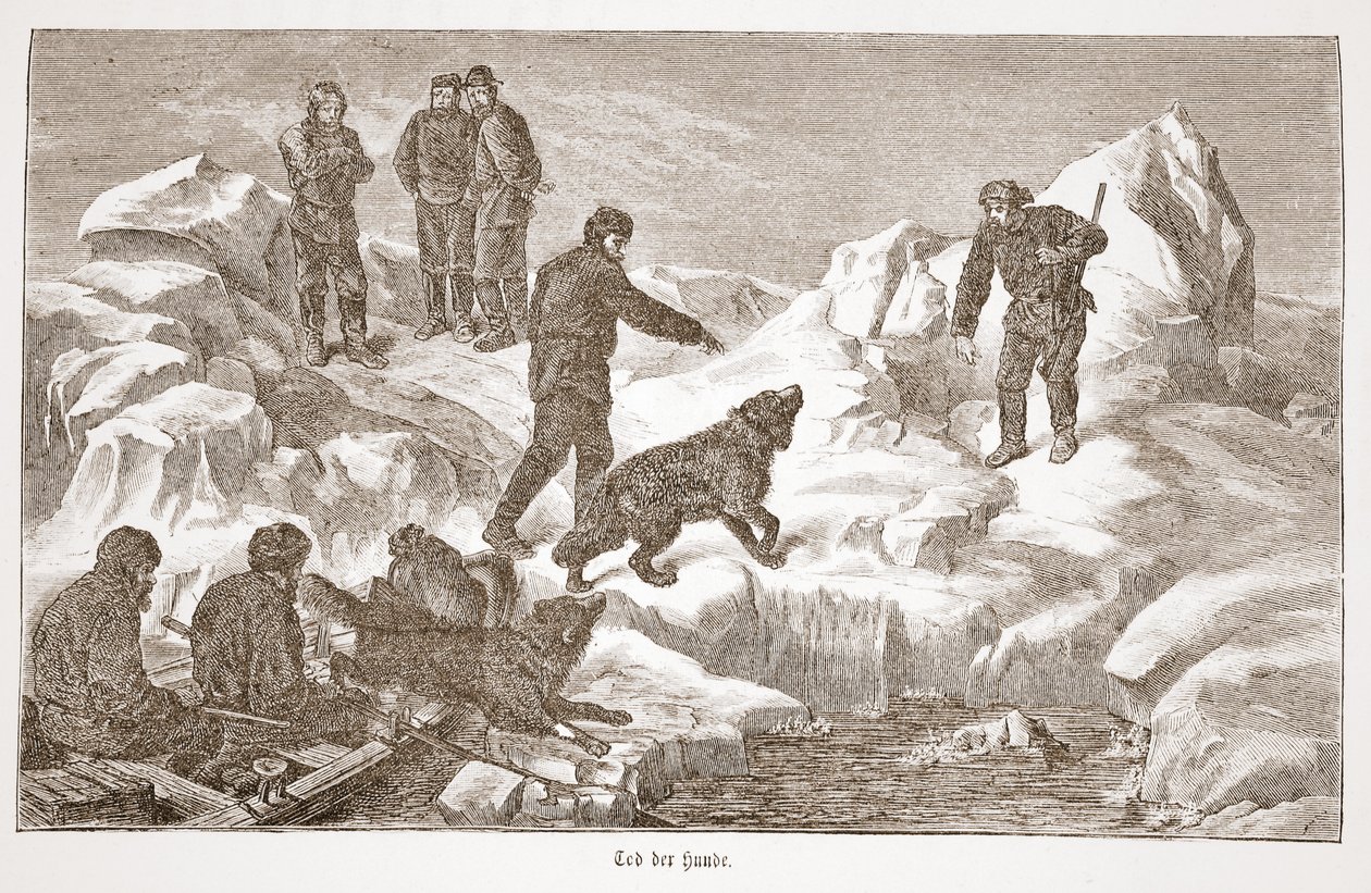 Jagt med hunde, 1876 af Austrian School