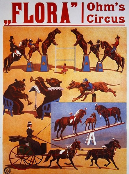 Plakat, der reklamerer for 