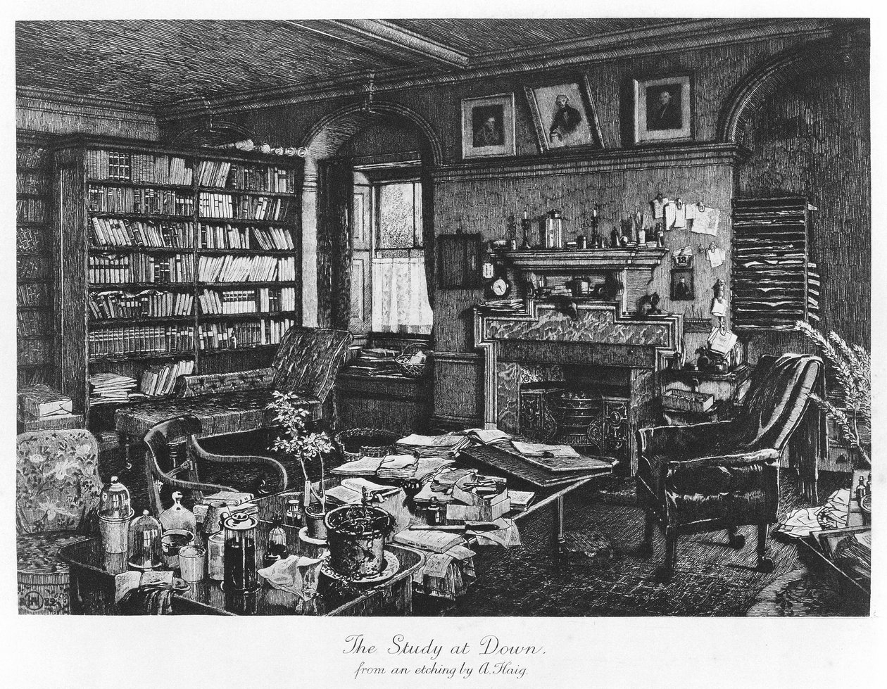 The Study at Down, pub. 1882 (gravering) af Axel (after) Haig
