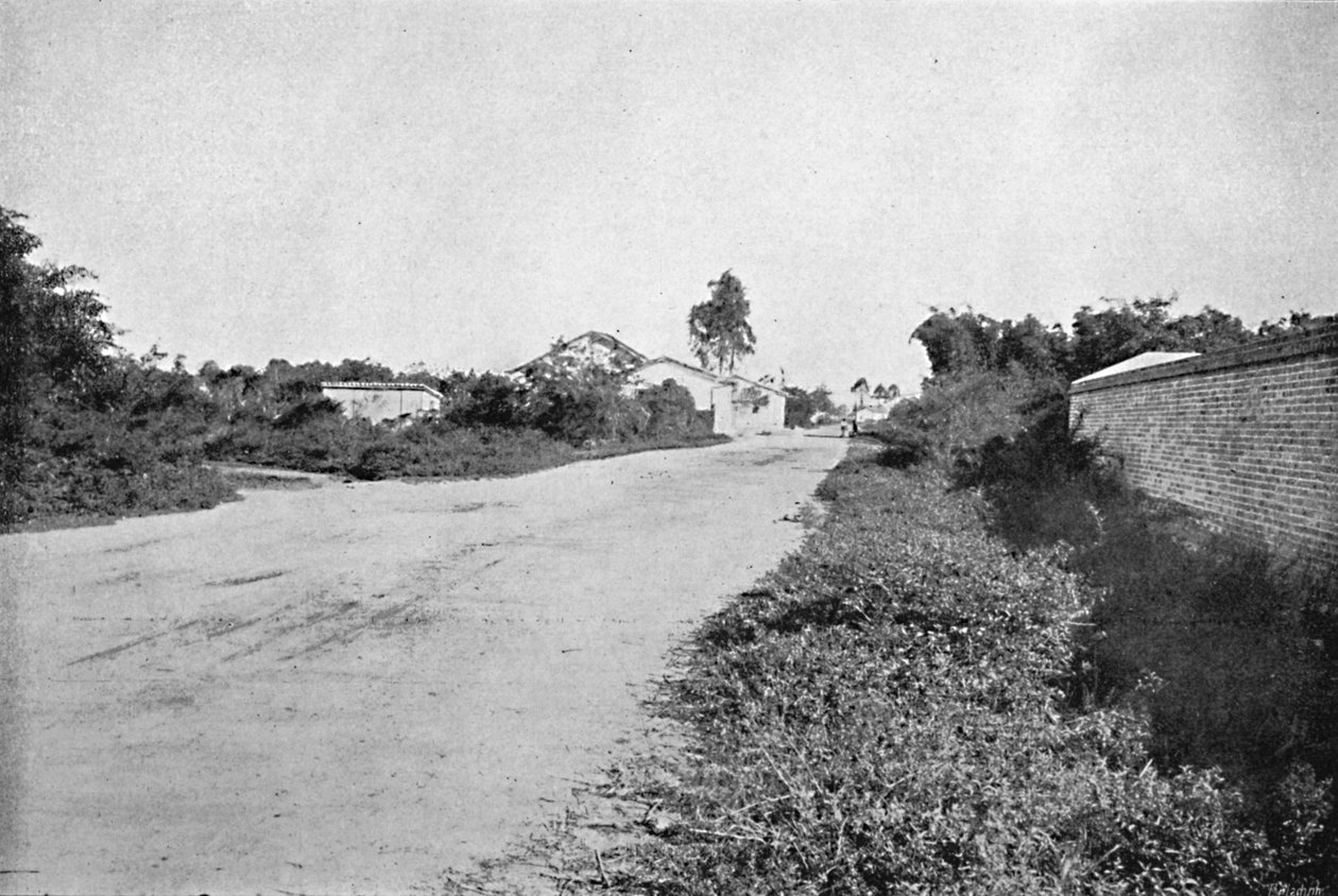 Kolonien São Bernardo, Kolonien São Bernardo do Campo, 1895 af Axel Frick