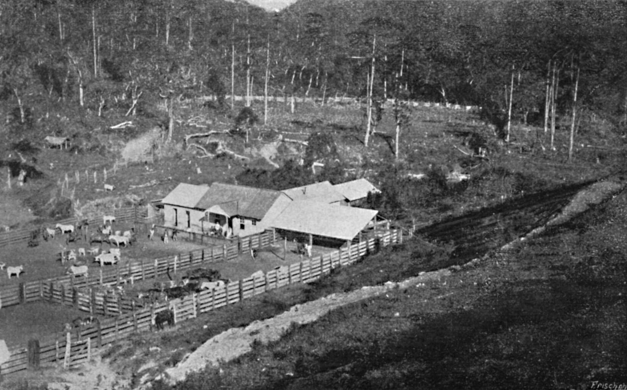 Campos do Jordao Creation Farm, Creation Farm, 1895 af Axel Frick