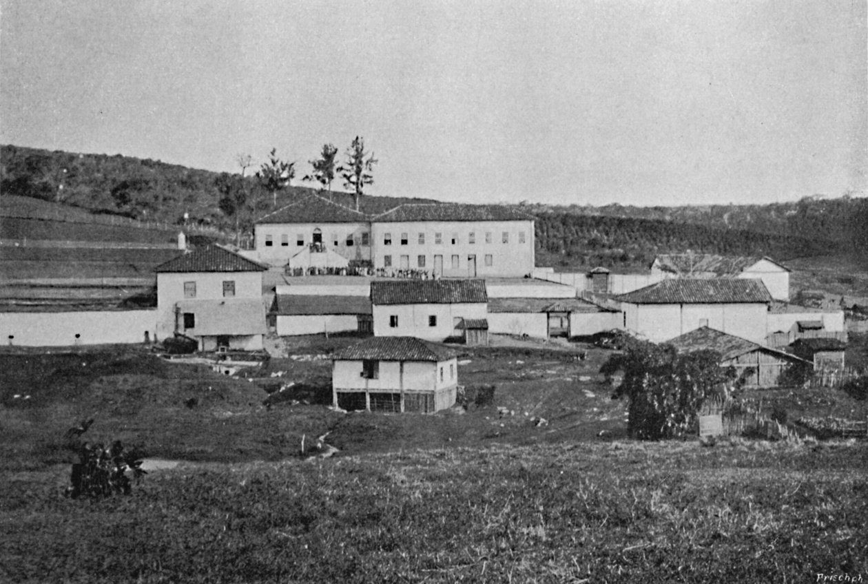 Sete Quedas Farm Campinas, Sete Quedas Farm, 1895 af Axel Frick
