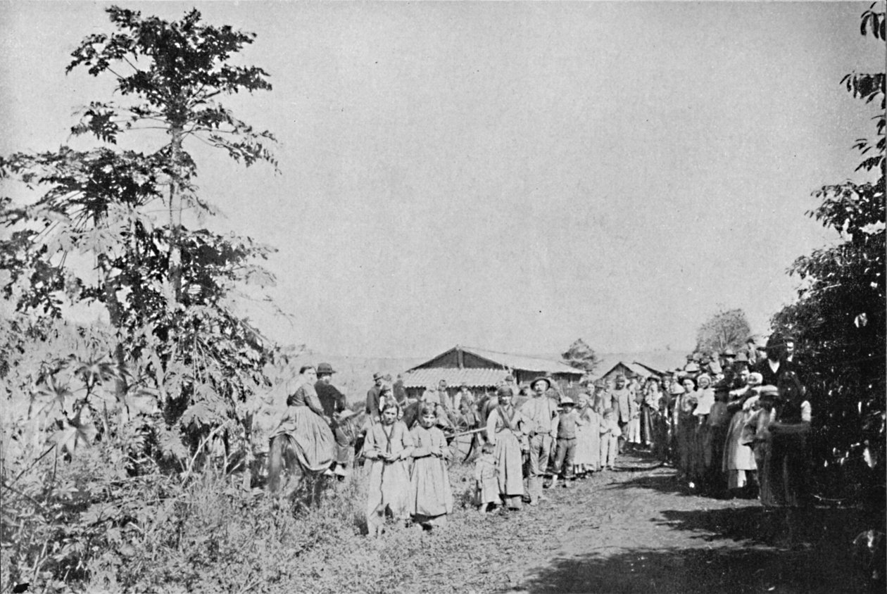 Parti i en koloni, Parti i en koloni, 1895 af Axel Frick
