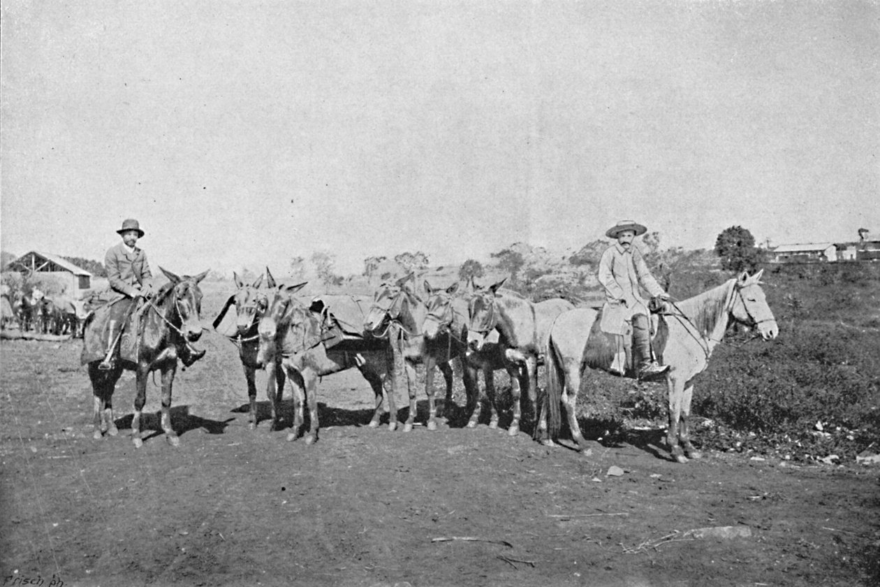 Negociantes do Interior, Traders of the Interior, 1895 af Axel Frick