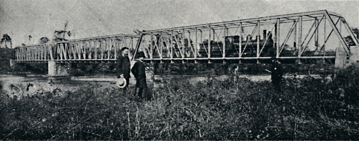 E. F. Mogyana-broen over Pardo-floden, 1895 af Axel Frick