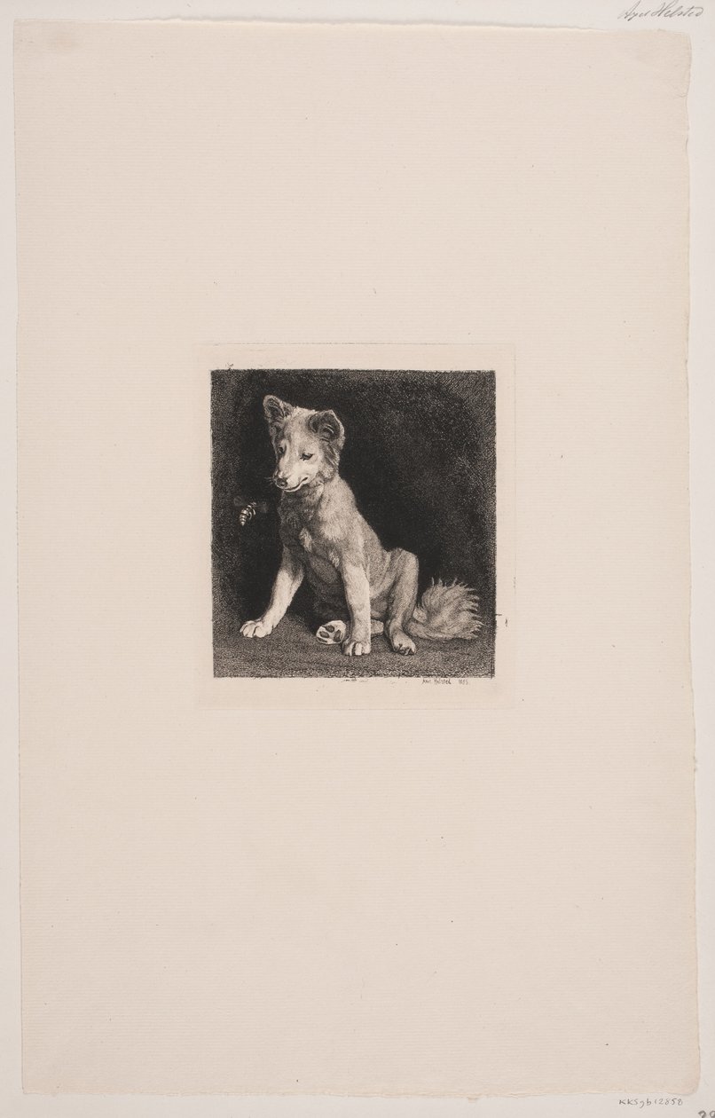 Hunden og bien af Axel Helsted