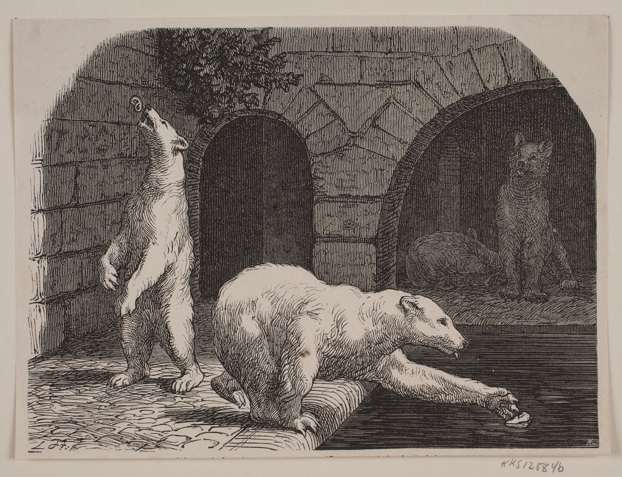 Bjørne i Jardin des Plantes af Axel Theodor Kittendorff