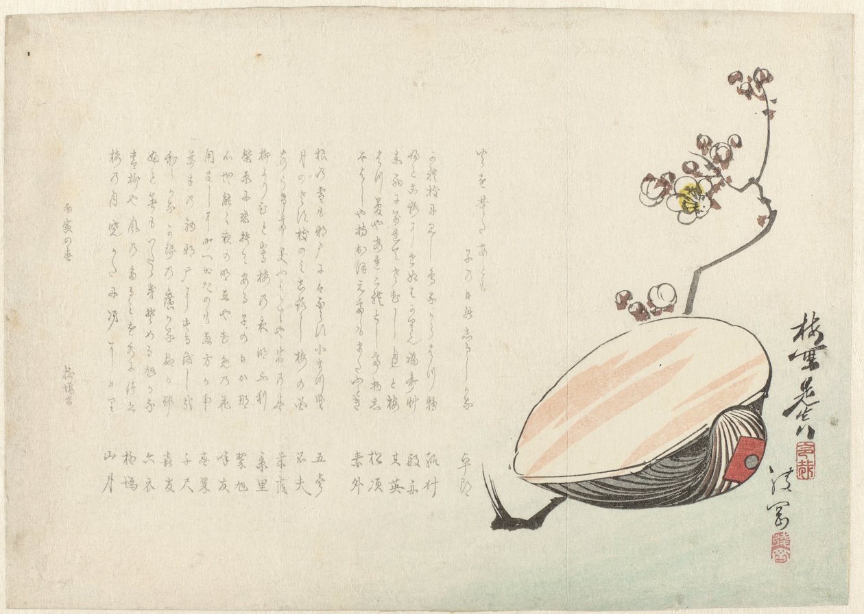 Skal af Ayaoka Yûshin