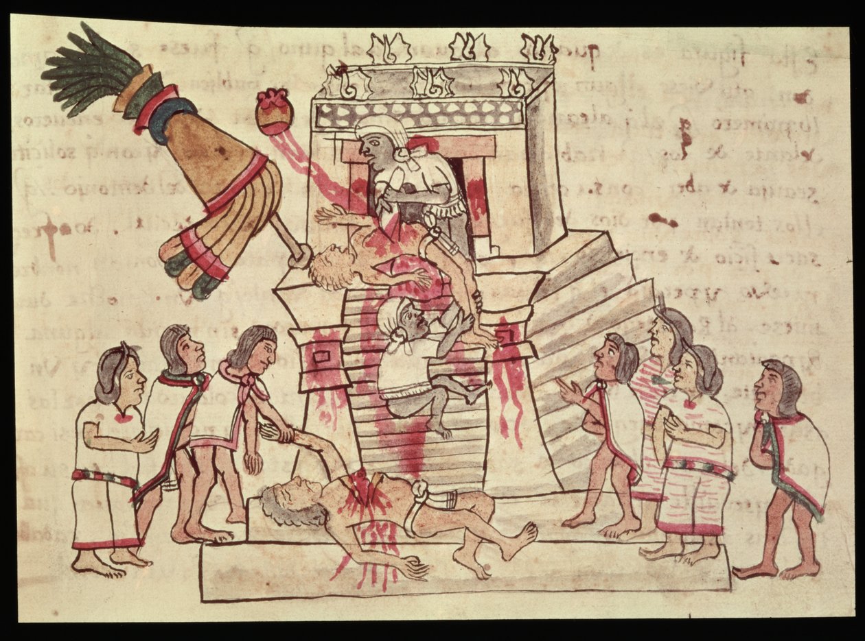 B.R. 232 fol.70r Et menneskeofring fra Codex Magliabechiano af Aztec