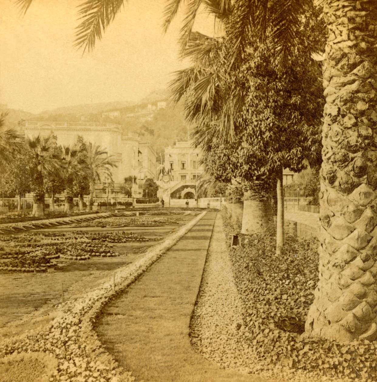 Monte Carlo, ser fra kasinoet, 1897. af B. W. Kilburn