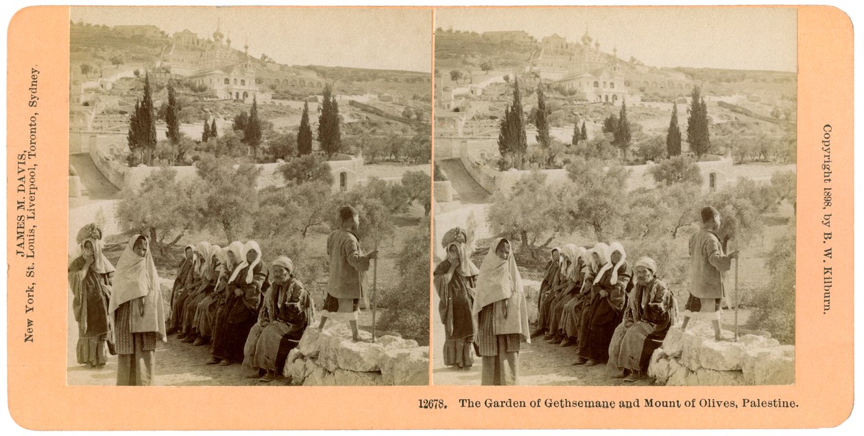 Getsemane-haven og Oliebjerget, Palæstina, 1898. af B. W. Kilburn