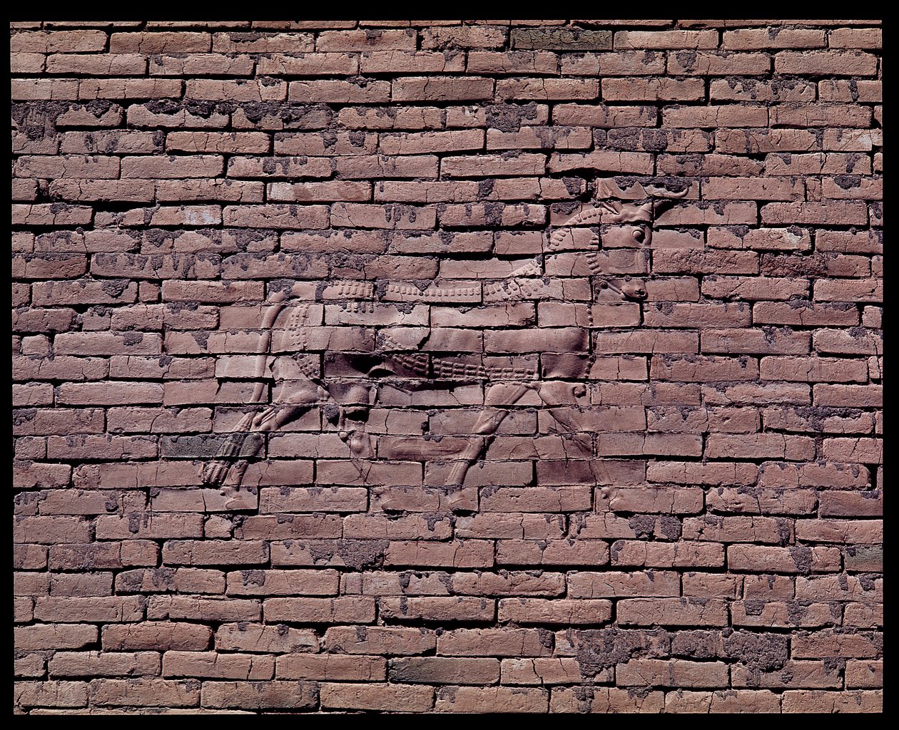 Detalje af en tyr, relief af Ishtar-porten, 580 f.Kr af Babylonian