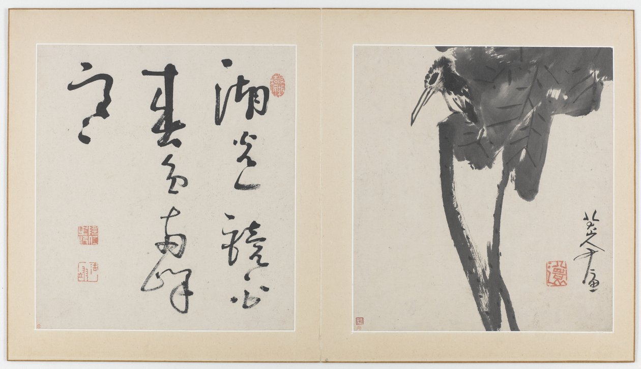 Sider fra et album med blomster, fugle, insekter og fisk, Qing-dynastiet, 1688-89 (blæk på papir) af Bada Shanren