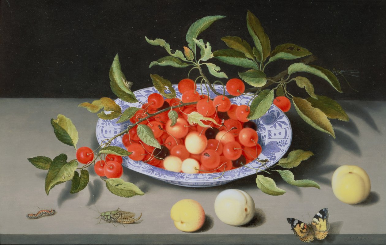 Stilleben af kirsebær og ferskner af Balthasar van der Ast