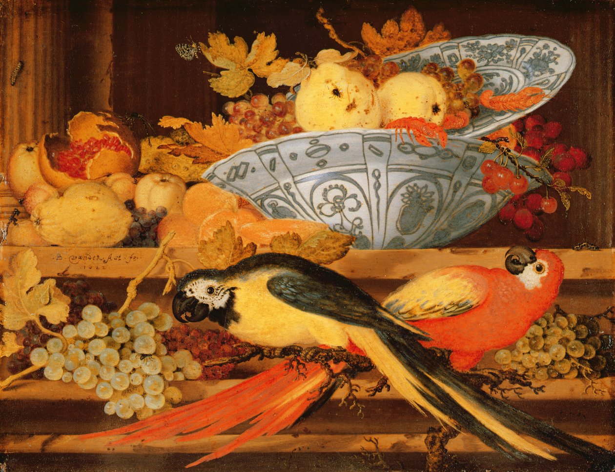 Stilleben med frugt og ara, 1622 (olie på kobber) af Balthasar van der Ast