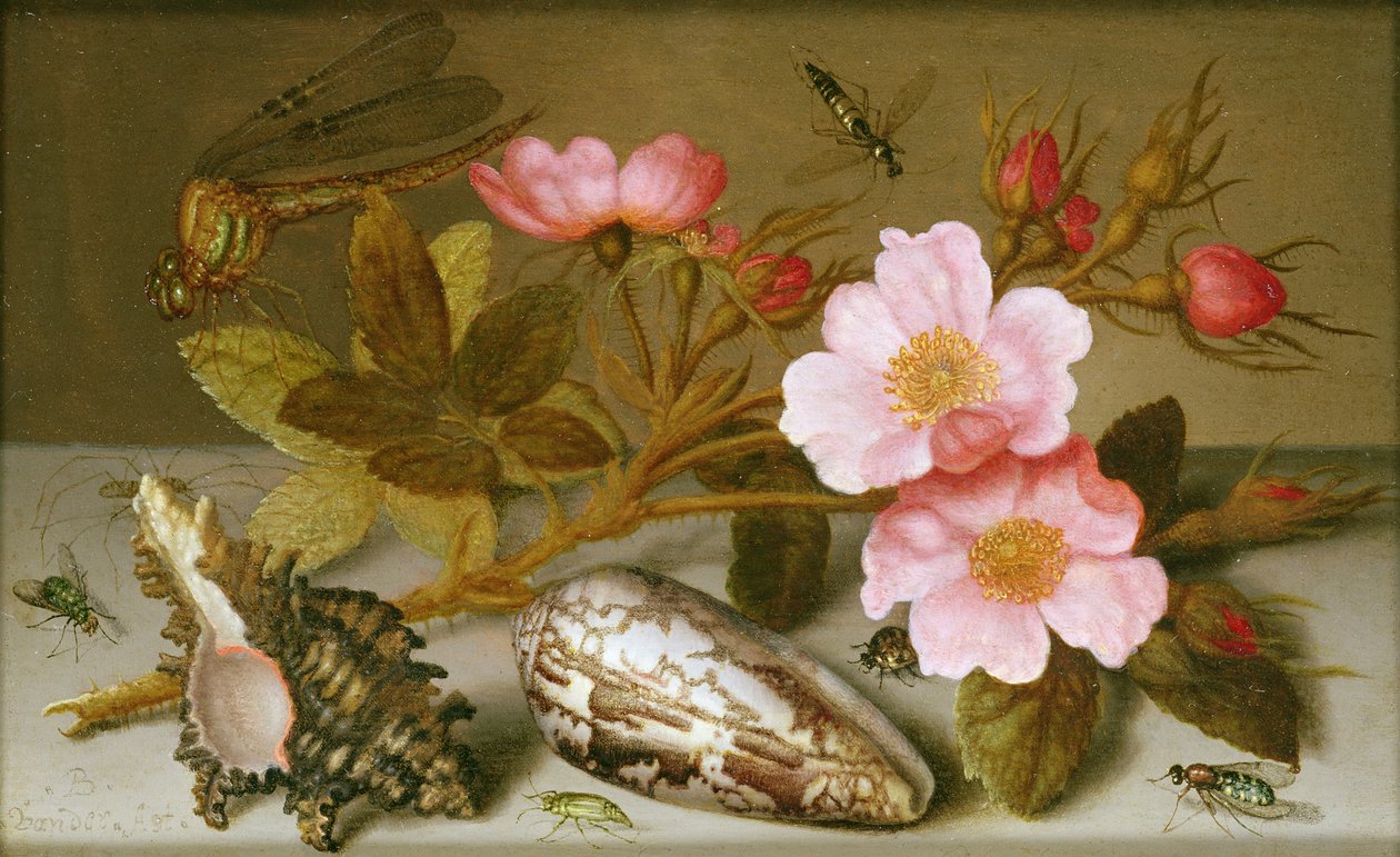 Stilleben, der forestiller blomster, skaller og en guldsmede (olie på kobber) (for par se 251377) af Balthasar van der Ast
