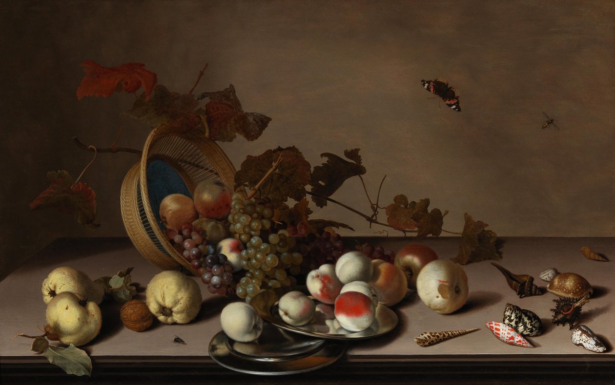 Frugtstilleben med flettet kurv, muslinger og sommerfugl, første halvdel af 1600-tallet. af Balthasar van der Ast
