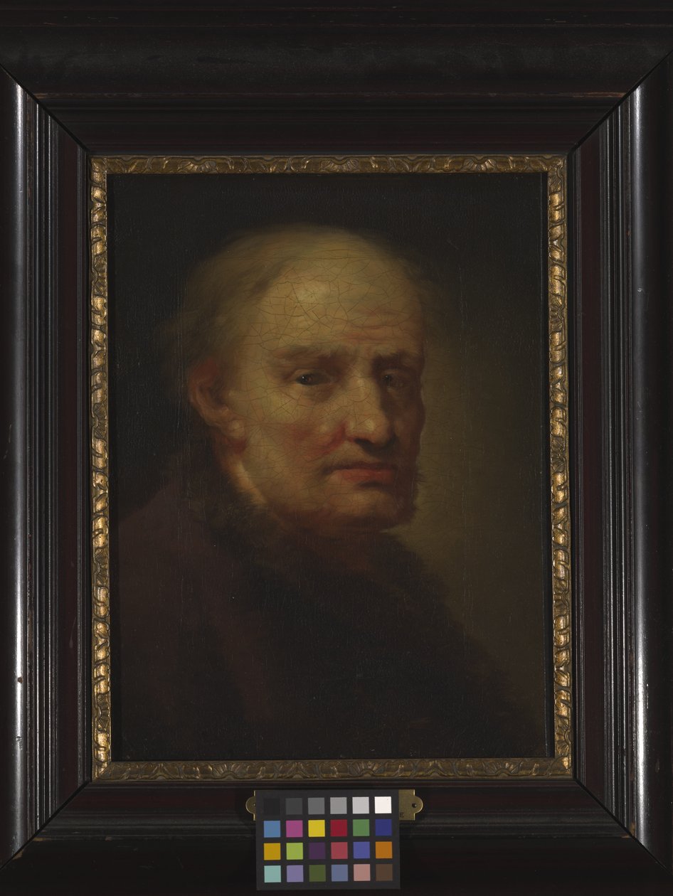 Hovedet af en gammel mand (olie på træ) af Balthasar Denner
