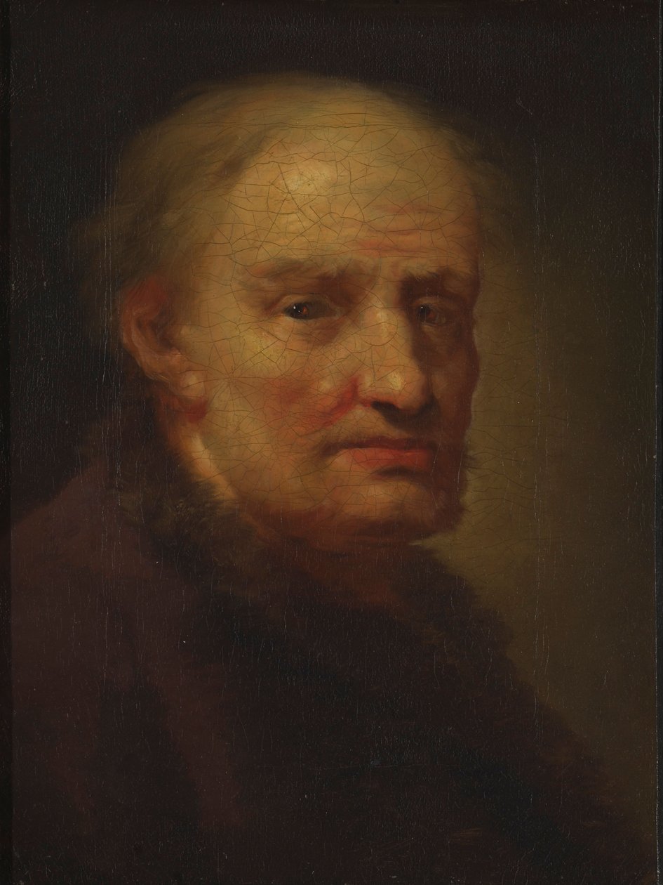 Hoved af en gammel mand af Balthasar Denner