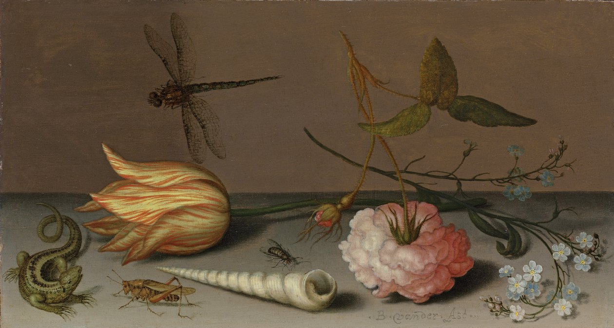 En tulipan, en nellike, spray af forglemmigej, med en skal, et firben og en græshoppe, på en afsats, en guldsmede i flugt af Balthasar van der Ast