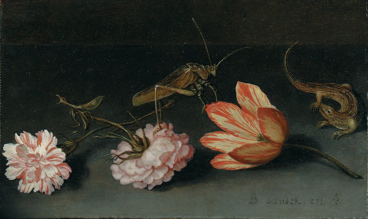 Nelliker, en papegøje tulipan, en græshoppe og et firben på en afsats af Balthasar van der Ast