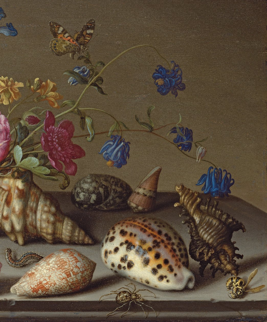 Blomster, skaller og insekter på en stenkant af Balthasar van der Ast
