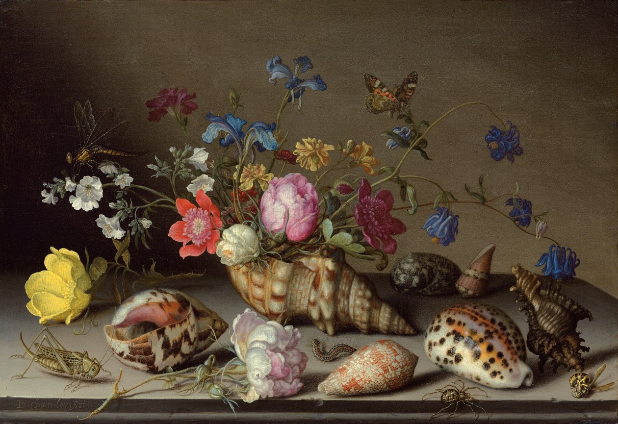 Blomster, skaller og insekter på en stenkant af Balthasar van der Ast