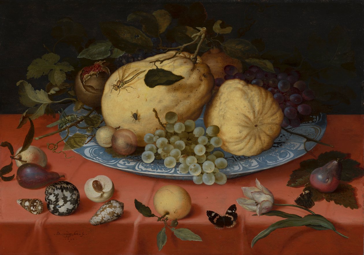 Frugtstilleben med skaller og tulipan af Balthasar van der Ast