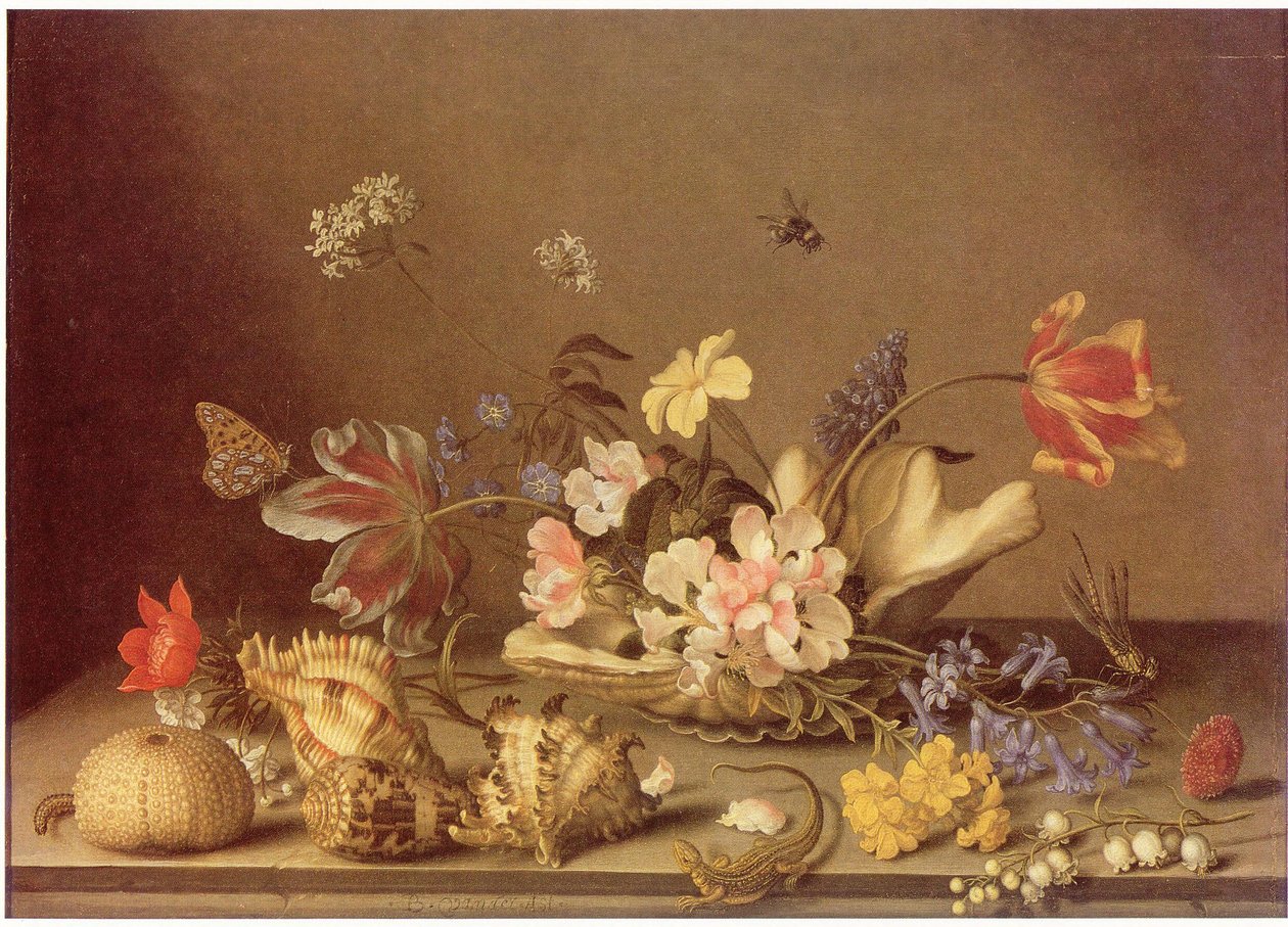 Stilleben med blomster og skaller af Balthasar van der Ast