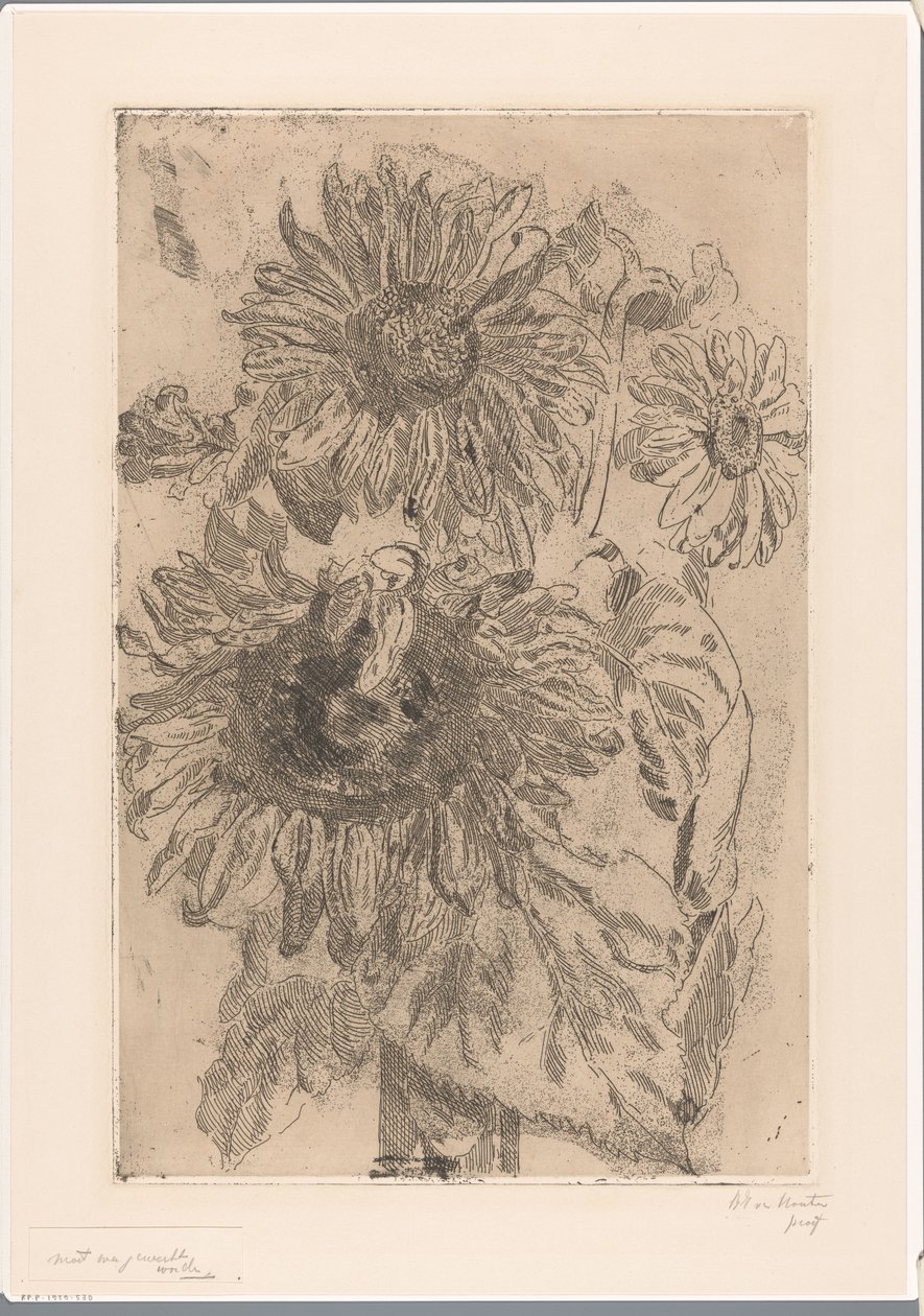 Tre solsikker i en vase af Barbara Elisabeth van Houten (signed by artist)